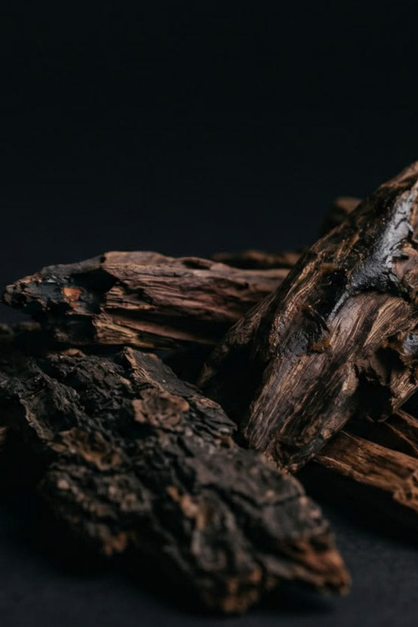 Candela in cera di soia Love Like A Bomb - La Calathea