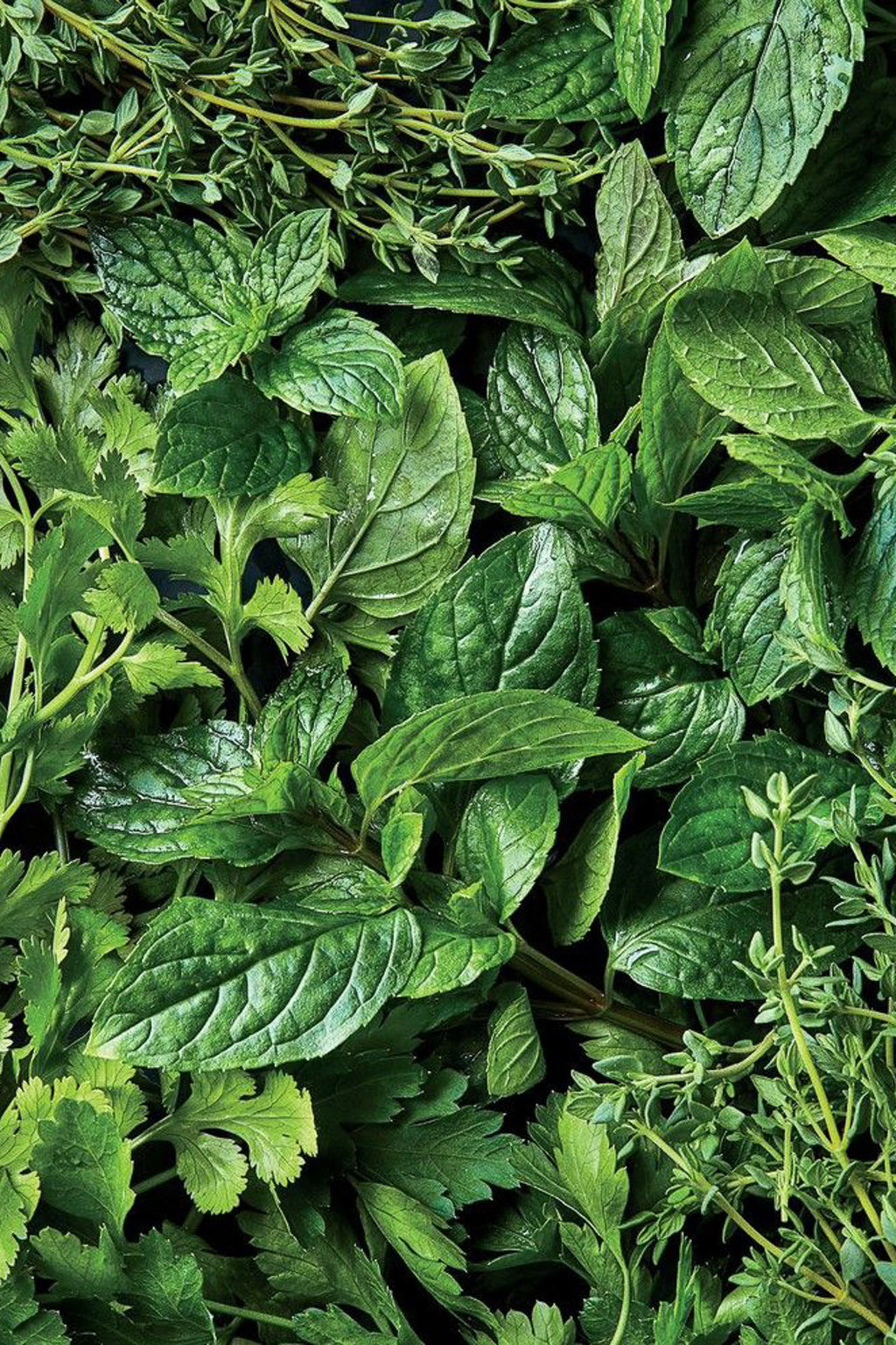 Candela in cera di soia Artemide - La Calathea